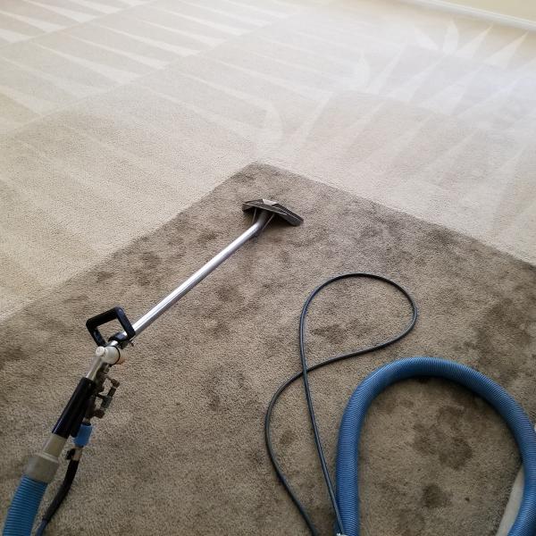 White Knight Carpet