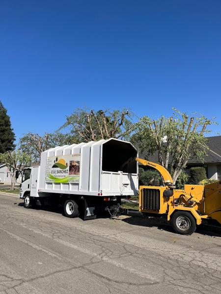 E&J Sanchez Tree Service