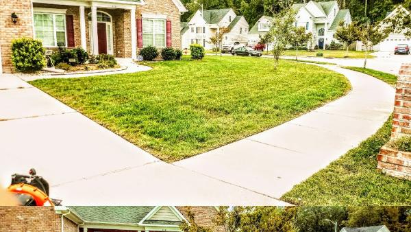 Underground Landscaping