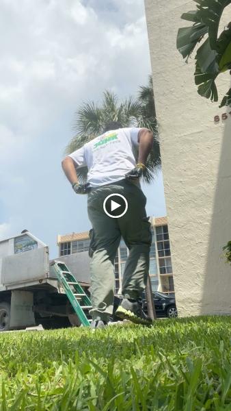 Mr.junk • Removal in Miami