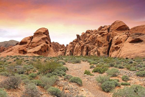 Sandstone Landscape