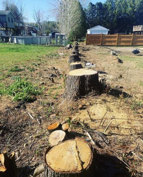 Stump Wrecker
