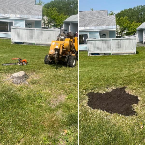 Stump Wrecker