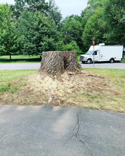 Stump Wrecker