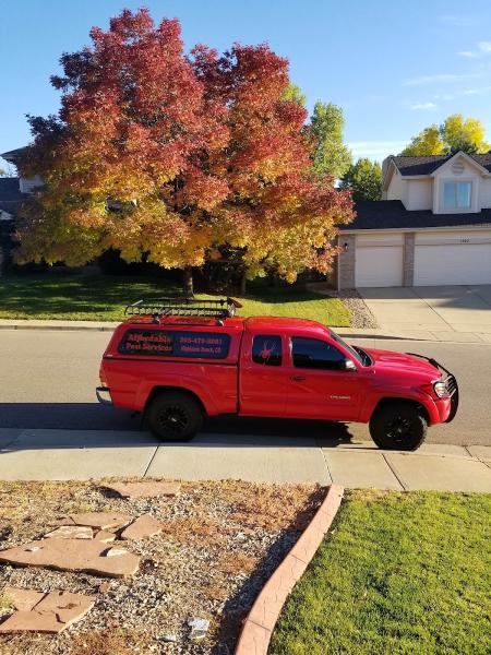Affordable Pest Services