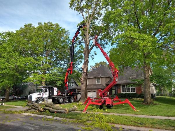 Tidd Tree LLC