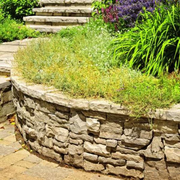 Tip Top Landscaping LLC