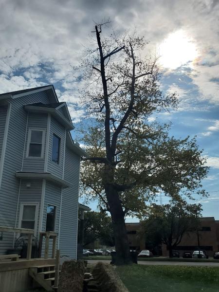 Get'r Done Tree Services LLC
