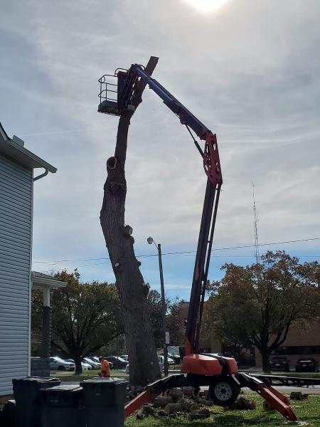 Get'r Done Tree Services LLC
