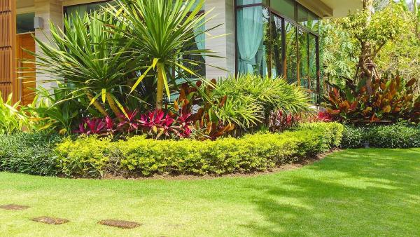 Clientele Lawn & Landscape