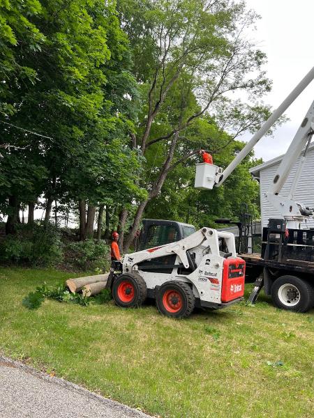 Bogan Tree Service
