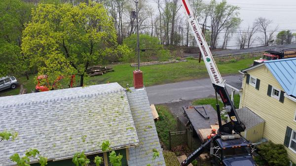 NE Tree and Property Service