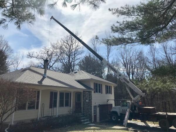 NE Tree and Property Service