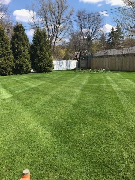 Dorado Lawn Seasonal Services LLC