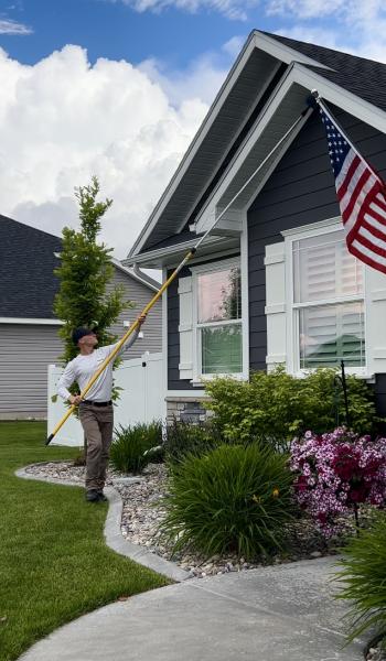 Pestify Pest Services