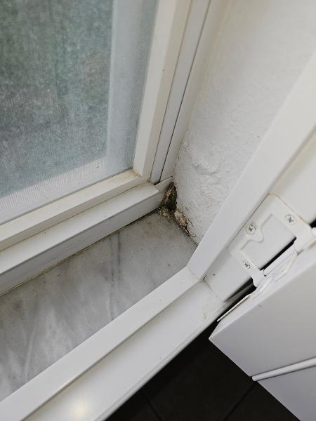 Orlando Leak Detection