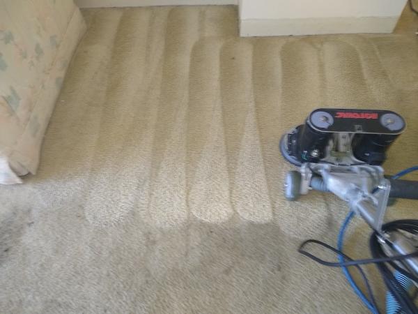 Kingdom Global Services Carpet Cleaners