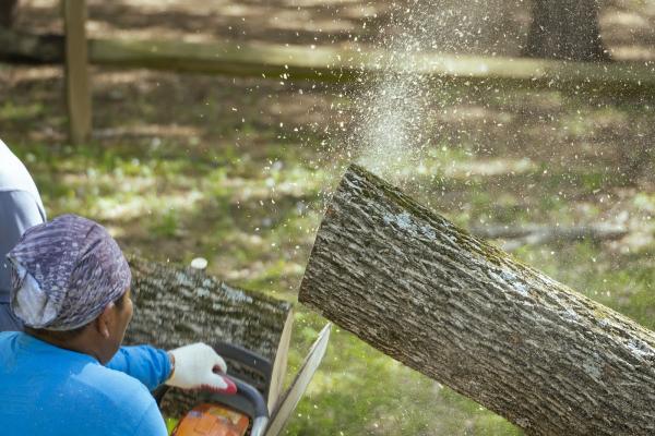Yanez Tree Service Experts