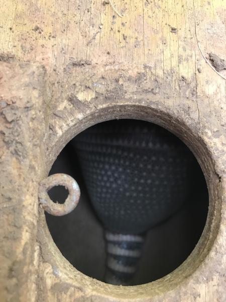 Action Services Wildlife & Pest Control