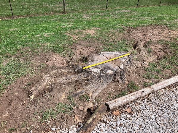 Terrys Deluxe Stump Grinding