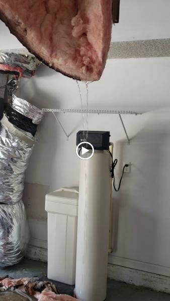 DMS Restoration Services