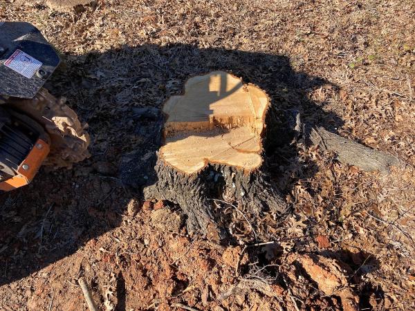 Bayou Stump Grinding
