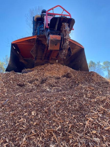 Bayou Stump Grinding