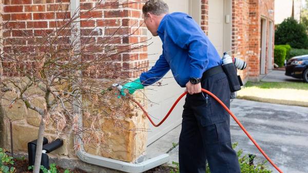 Pest Solutions