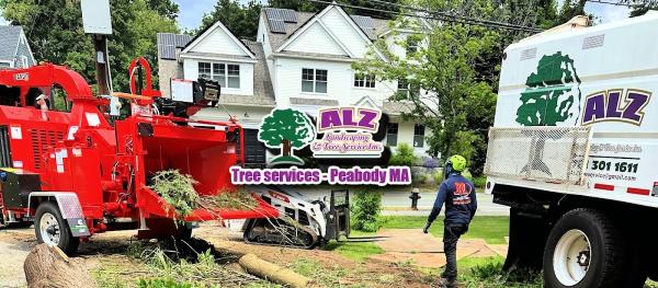 ALZ Tree Service