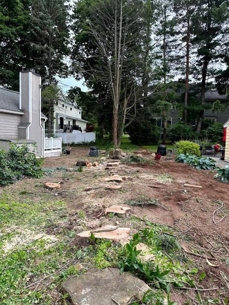 ALZ Tree Service