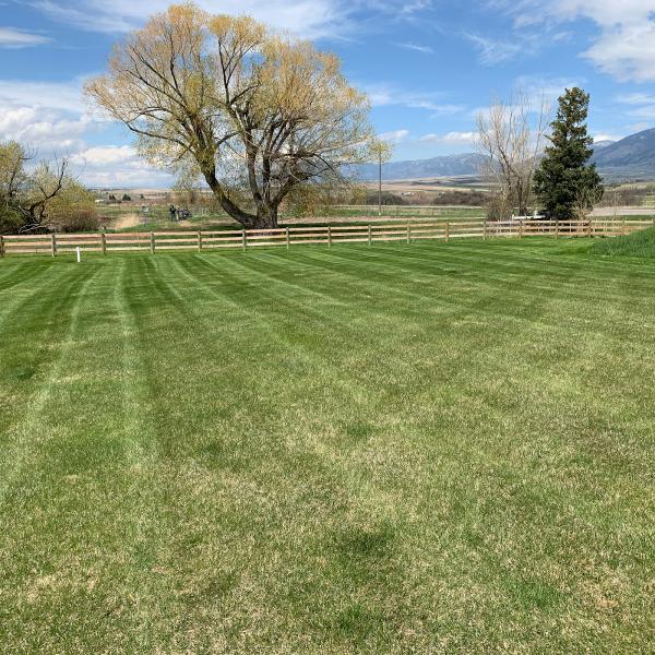 Alpha Lawn and Landscaping LLC