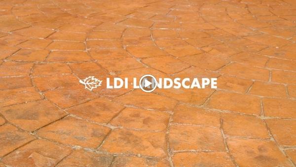 LDI Landscape