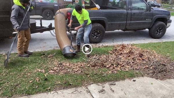 Cardinal Landscaping & Maintenance