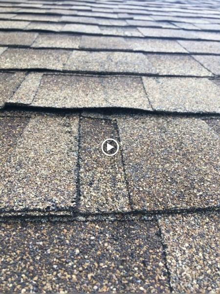 Denali Roofing