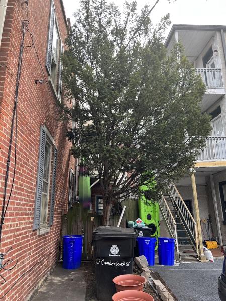 Midstate Tree Service