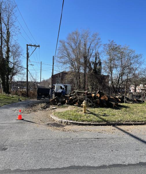 Midstate Tree Service