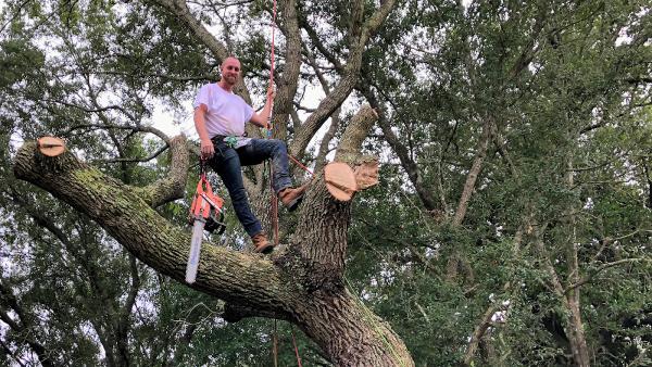 Stump Depot Tree Service