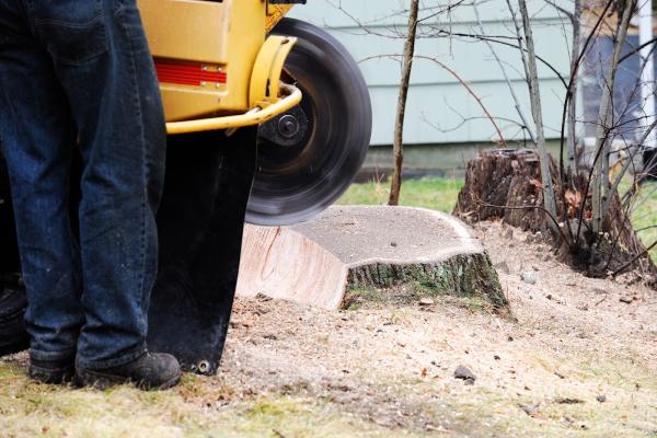 Stump Depot Tree Service