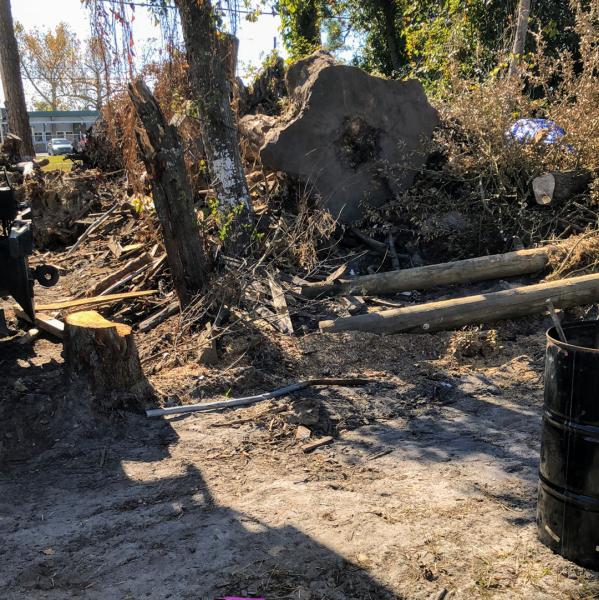 Stump Depot Tree Service