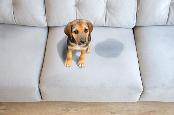 Yaeger Rug & Furniture Cleaners