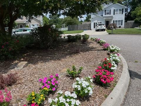 Green Collar Lawn Care Service