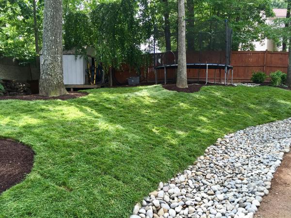 A-1 Sheer Gardening & Landscaping