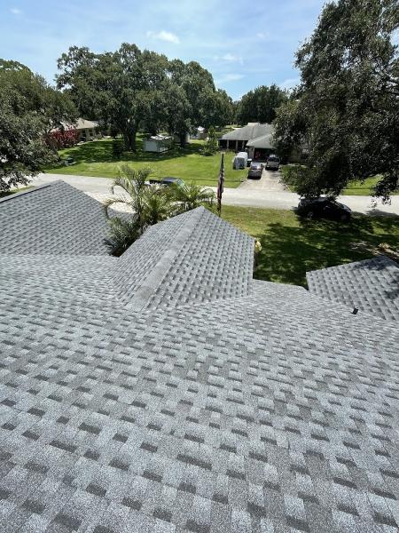 Raptis Roofing