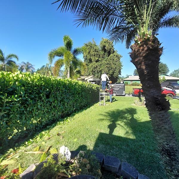 Treasure Coast Turf Pro