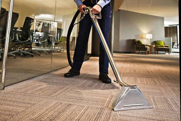 Chinchilla Carpet Cleaning