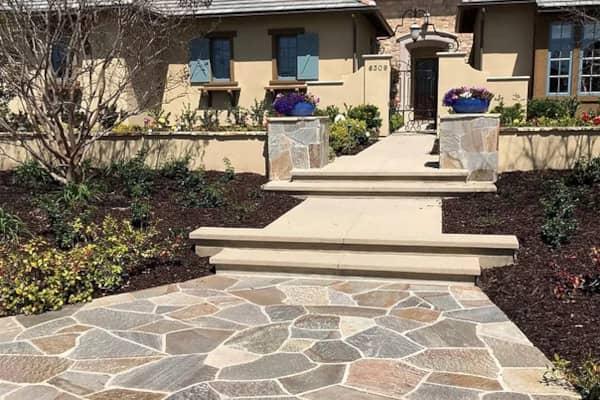 Chinchilla Carpet Cleaning