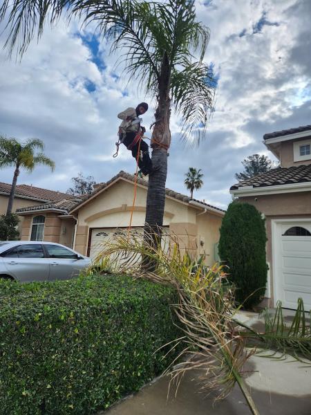 Tomas Cruz Gardening