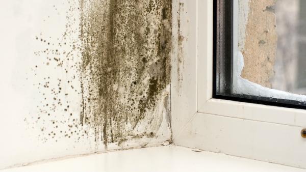Mid-Maryland Cleaning & Restoration