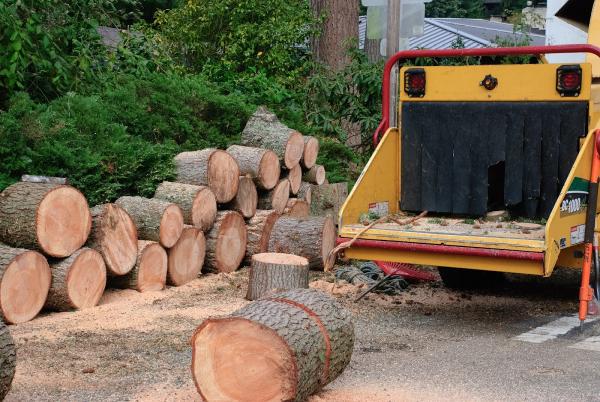 Blue Ribbon Tree & Landscape Specialists