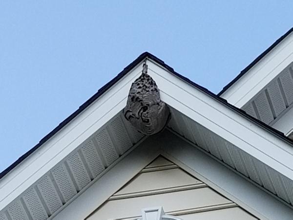 Bug Us Pest Control LLC